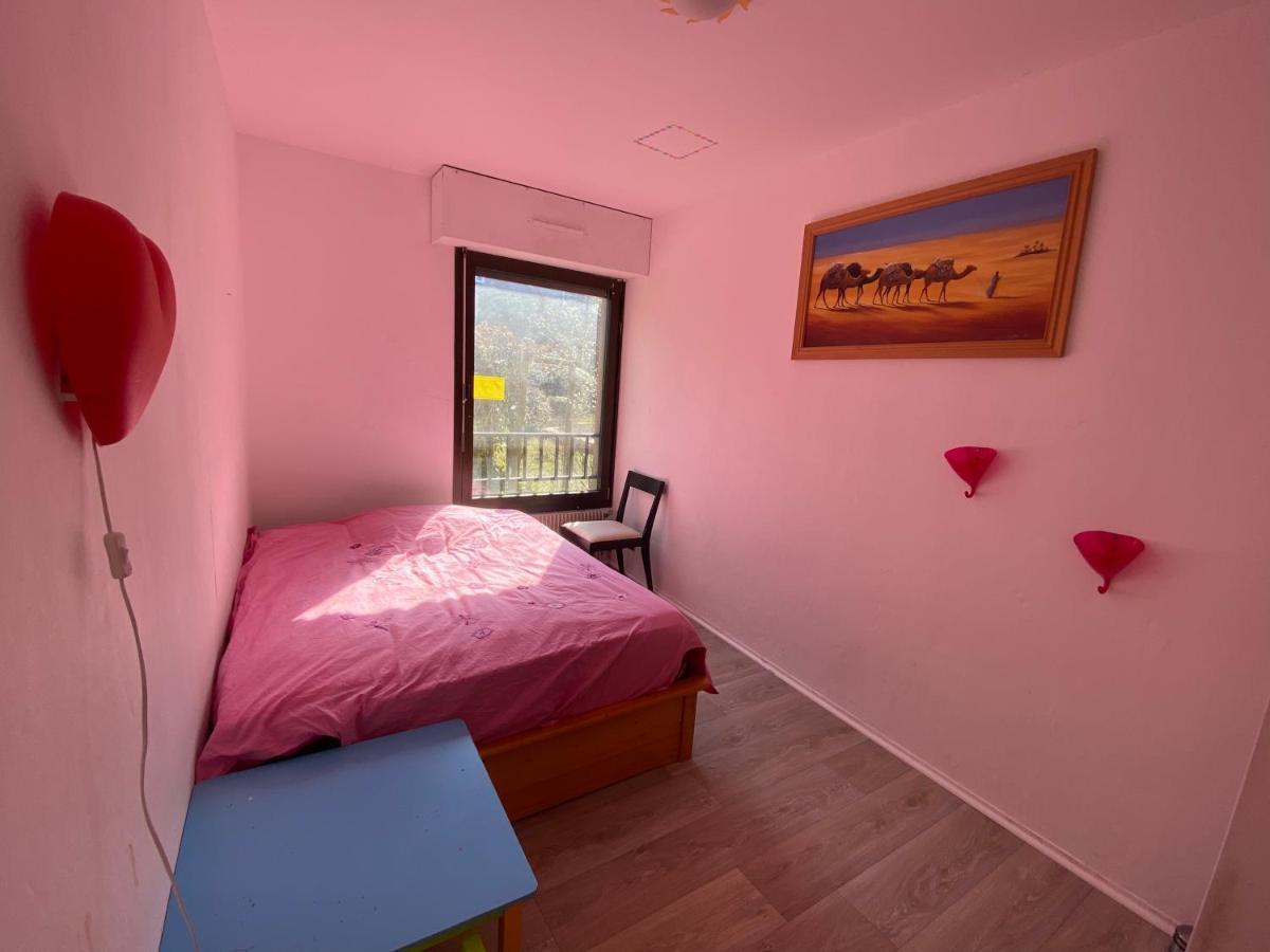 Nancy hyper centre, chambre privé chez l'habitant en colocation Exterior foto