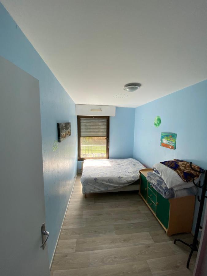 Nancy hyper centre, chambre privé chez l'habitant en colocation Exterior foto